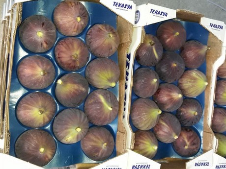 Rustik Markeret indre Turkey: "We expect to export about 700 tonnes of black figs this year"